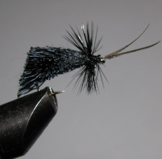 ���� Goddard Caddis Black Kumho � 10